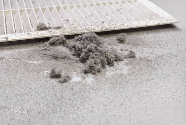 Best Ductwork Cleaning Services  in Agler Estates, FL