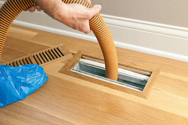 Best Air Vent Cleaning Services  in Agler Estates, FL