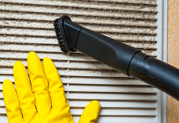 Best Home Air Vent Cleaning  in Agler Estates, FL